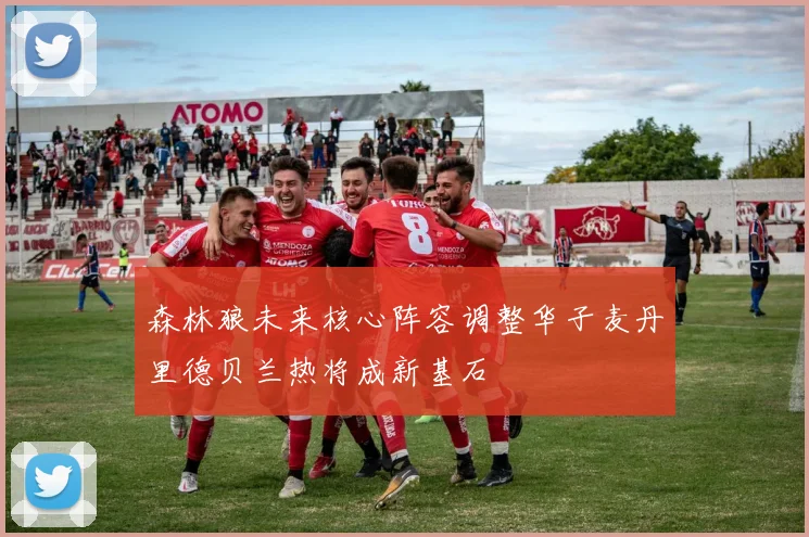 森林狼未来核心阵容调整华子麦丹里德贝兰热将成新基石